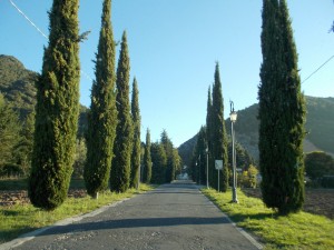 Foto Cimitero