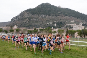 Foto Festa del Cross