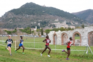 Foto Festa del Cross