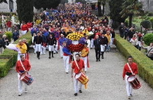 Foto Festa dei Ceri 2016