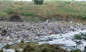 Foto Discarica di Colognola