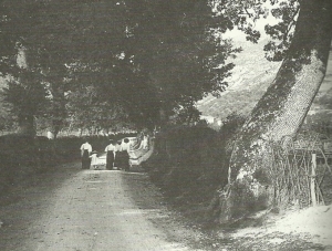 Foto Cerquoni