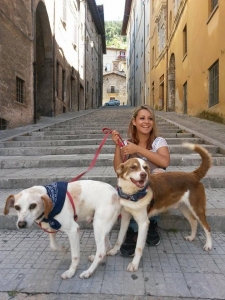 Foto Gubbio Soccorso animali e ambiente