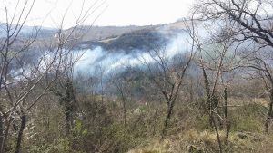 Foto Incendio di Valdichiascio