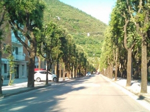 Foto Viale della Rimembranza