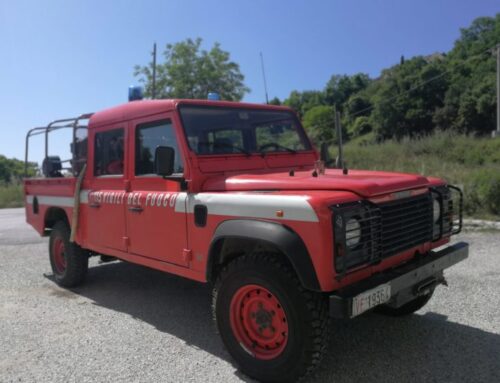 Vigili del Fuoco e 118 a Campaola per soccorrere un uomo punto da due vespe e in shock anafilattico